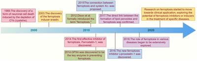 Contemporary insights and prospects on ferroptosis in rheumatoid arthritis management